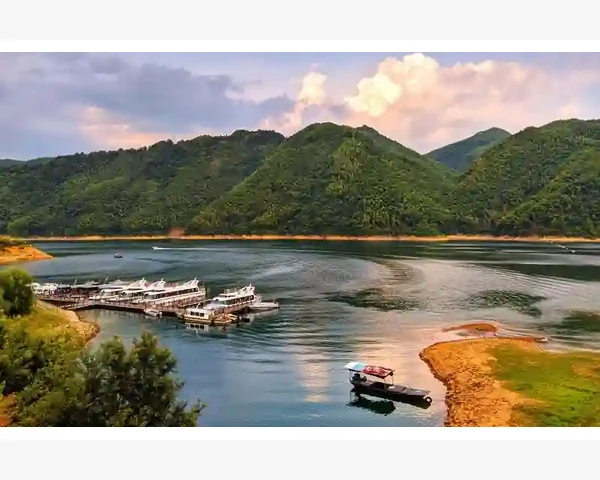 脾胃有湿盛：湿气的根源与症状